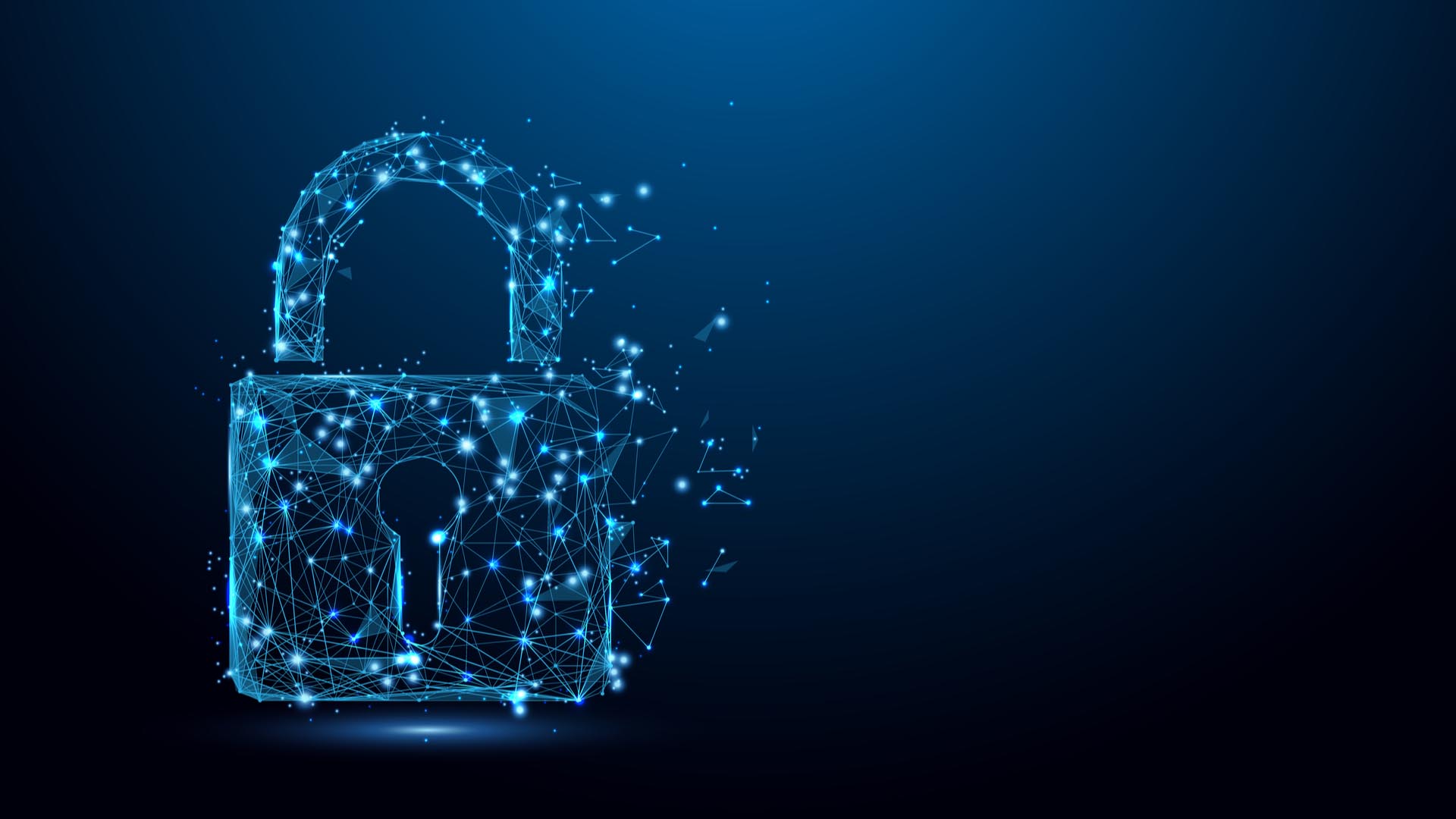 La sicurezza informatica: proteggere il patrimonio informativo della PA